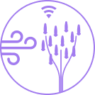 Windtree monitor System